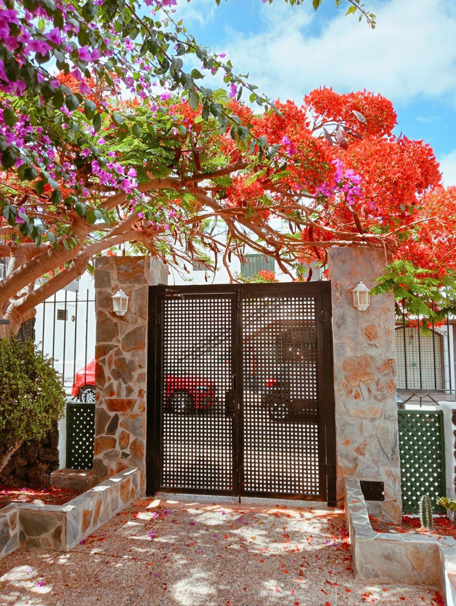 Apartamentos Las Acacias Puerto del Carmen  Eksteriør bilde